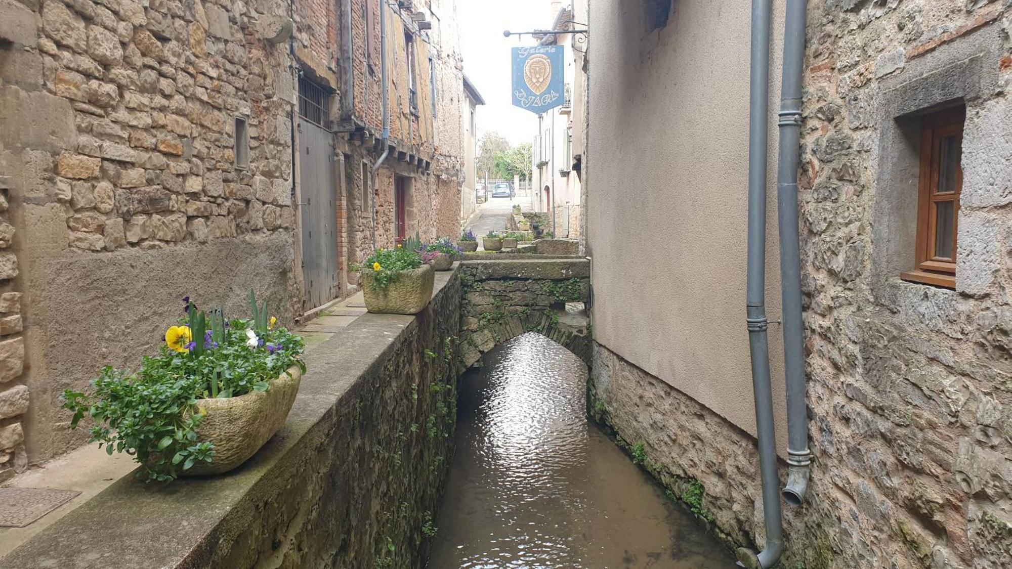 Seuls En Pleine Nature - Gite La Cote Blanche Puygaillard-de-Quercy Exterior foto