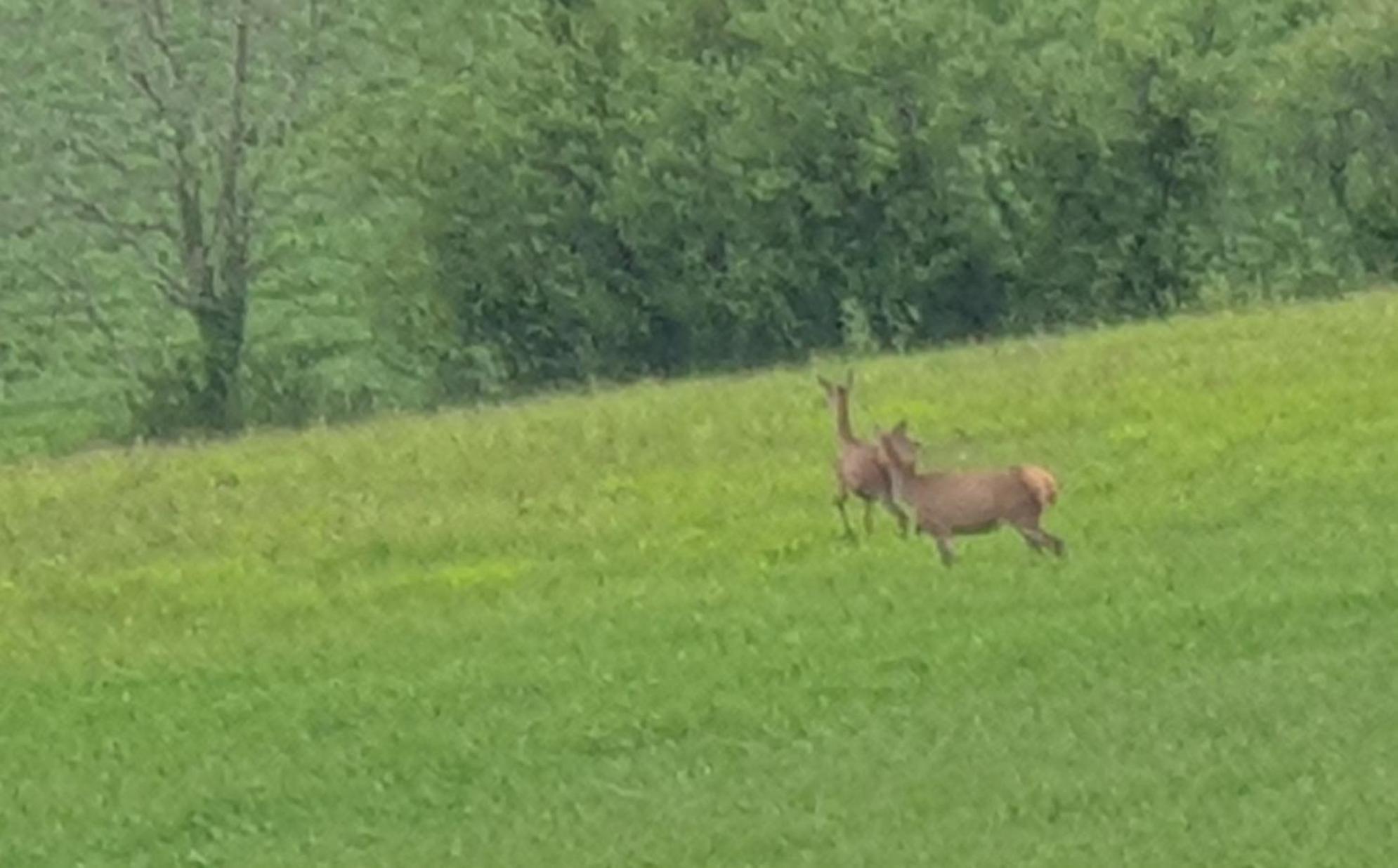 Seuls En Pleine Nature - Gite La Cote Blanche Puygaillard-de-Quercy Exterior foto