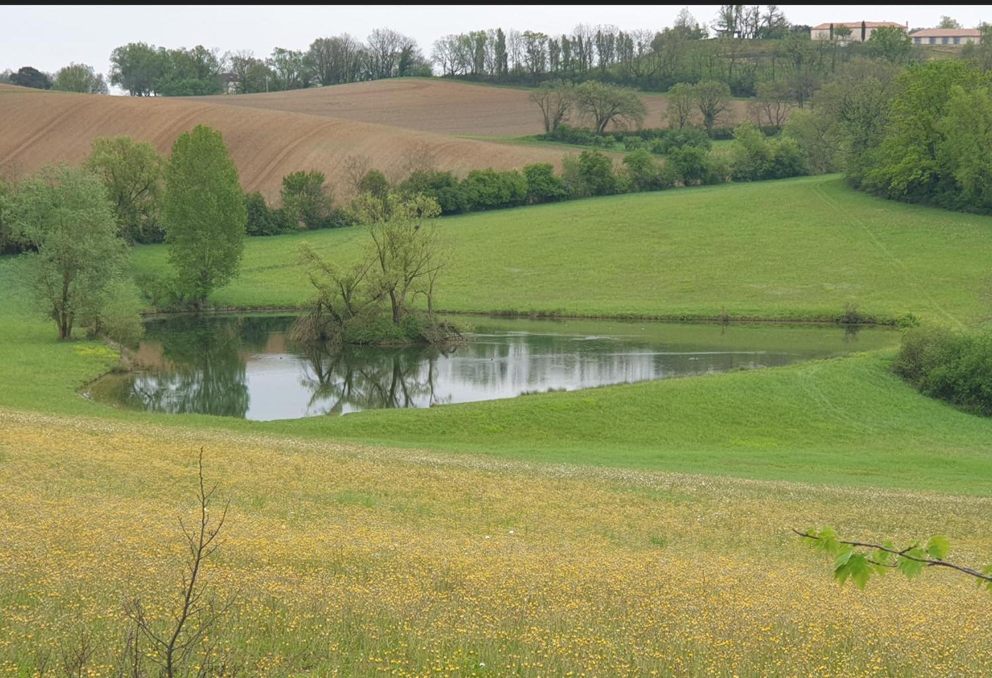 Seuls En Pleine Nature - Gite La Cote Blanche Puygaillard-de-Quercy Exterior foto