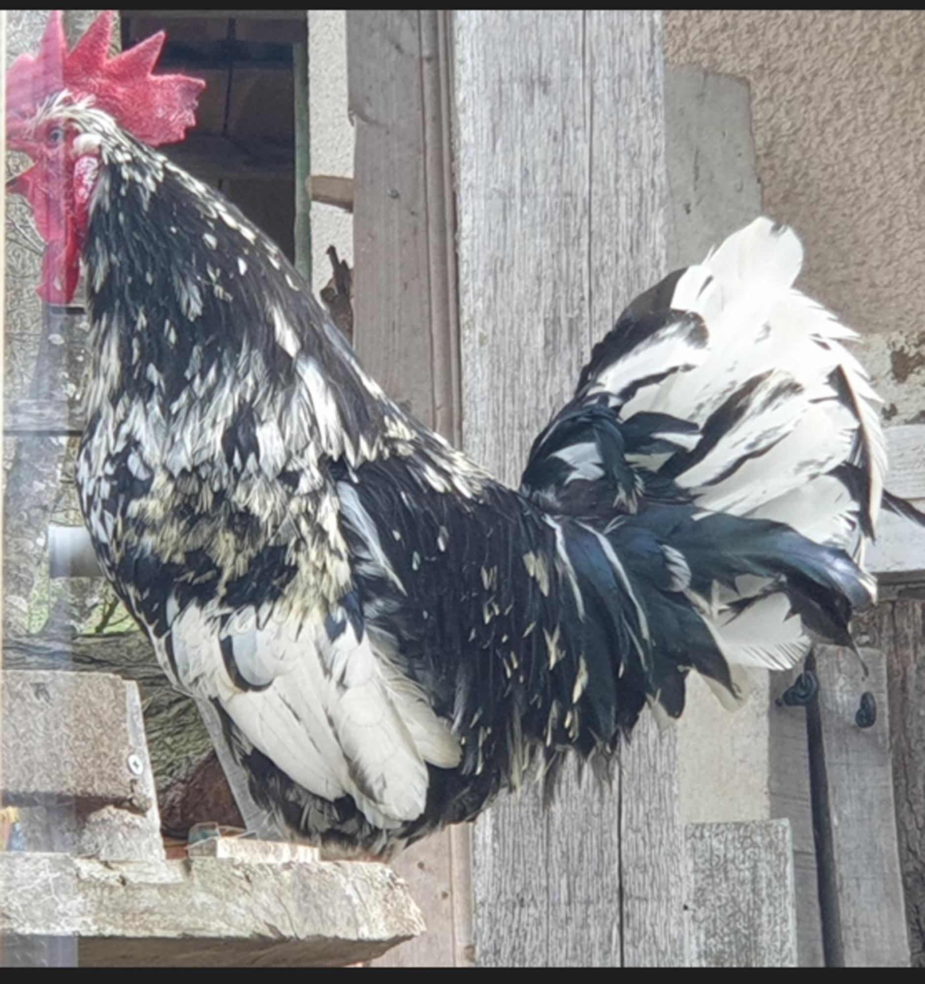 Seuls En Pleine Nature - Gite La Cote Blanche Puygaillard-de-Quercy Exterior foto